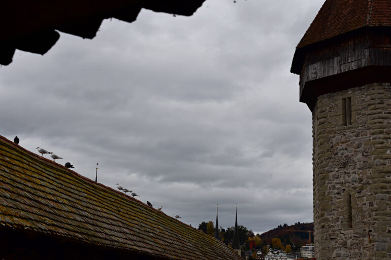 Alternative Stadtansichten von Luzern: «Luzern auf den zweiten Blick». Projekt: Der Charm von Grau (Julia Eberle).